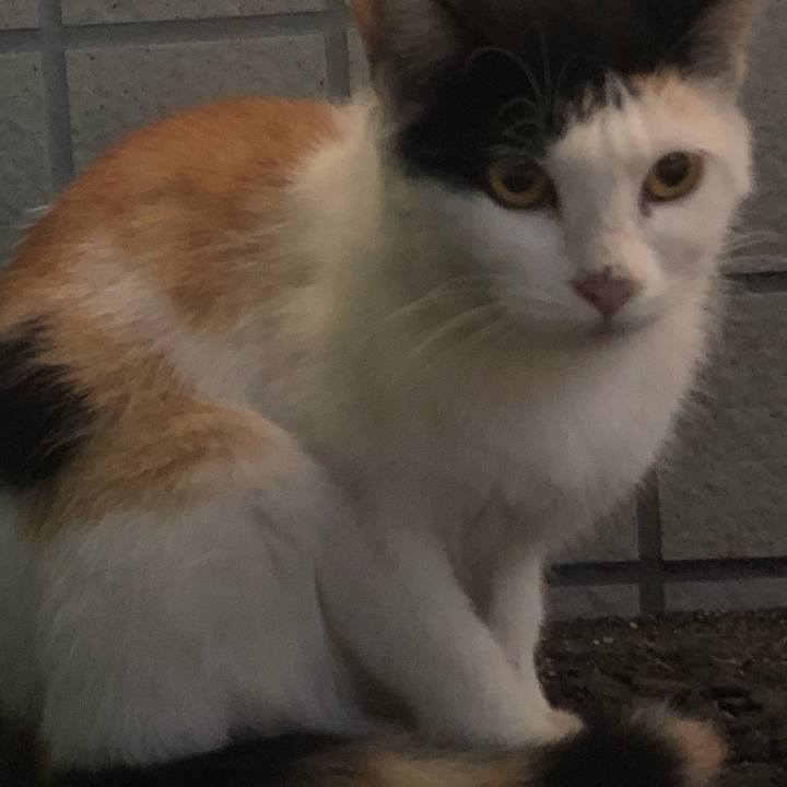 E2135e03 0be0 4065 bddb e979c470db39 1646230303524