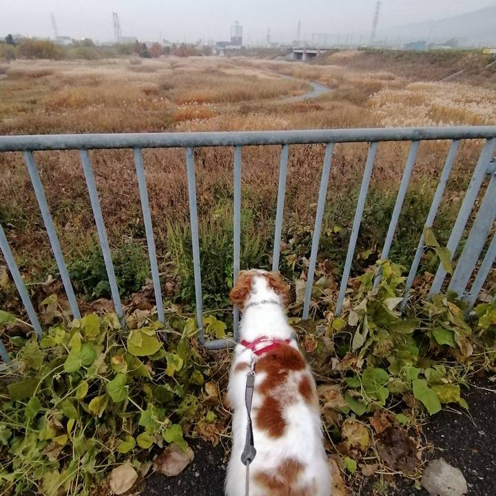 E21360af 3570 45f7 997f d6aa28ab3249 1576568784039