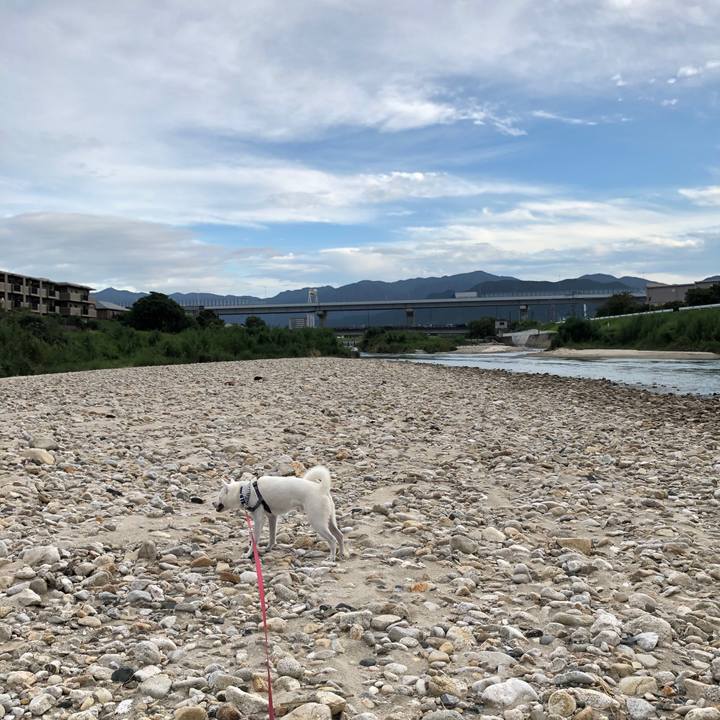 E21363bd a3f8 4641 aaaa 17fc8d2a341b 1567765075279