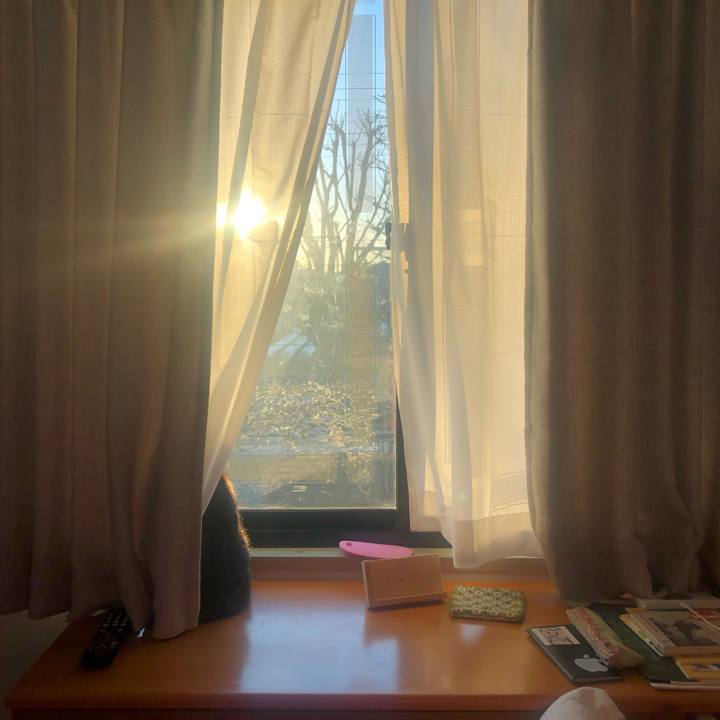 E2137adc 4f85 4f68 9eeb a8924af55090 1645492645323