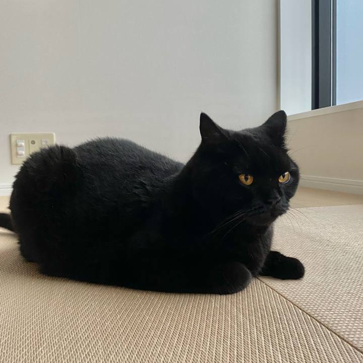 E2138d2c 4978 4fba a7d9 828c181cd72f 1625649768527