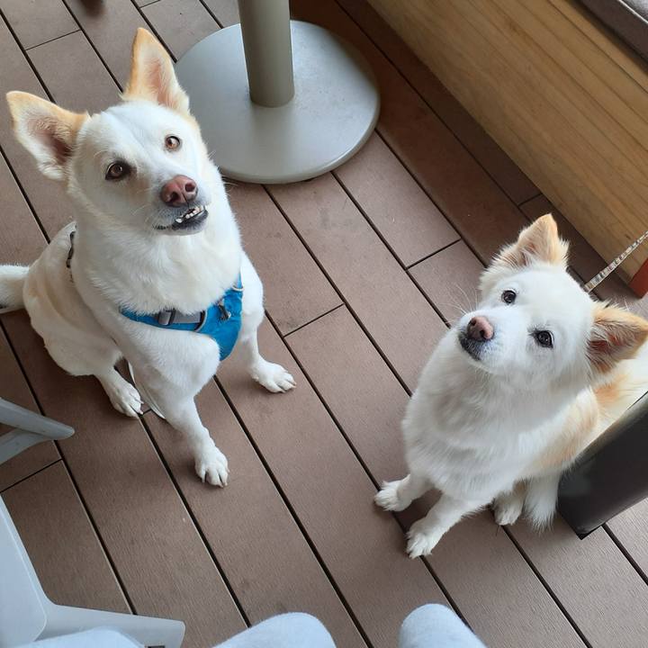 E21396f4 e0bb 452d 8504 a7936a596f2b 1651367601494