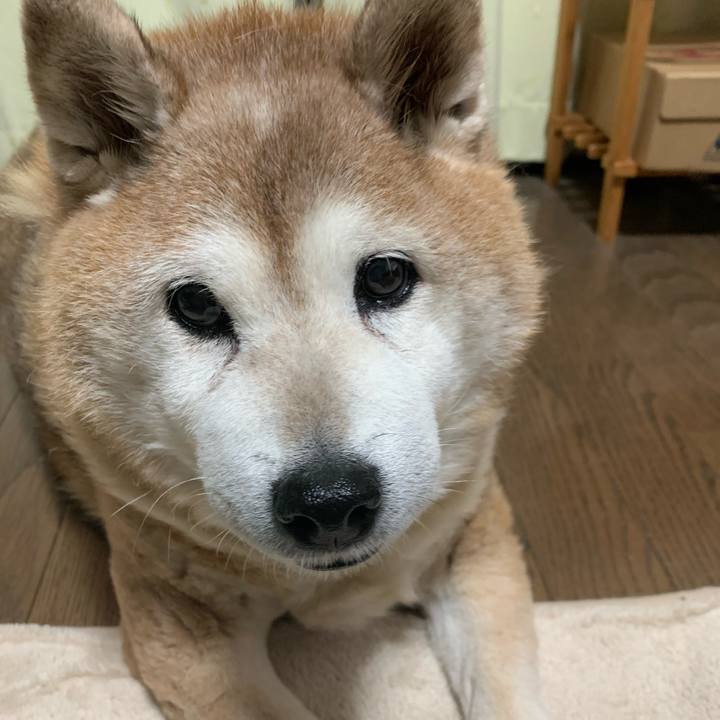 E213cc07 4480 4548 b650 e976c2217470 1617806832020