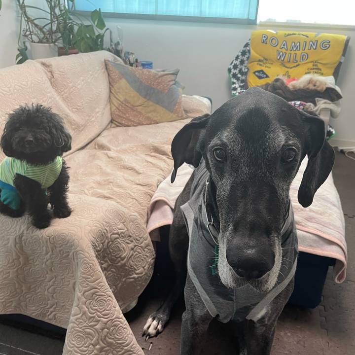 E213d268 e097 4602 8781 fcc1af618579 1619044097516