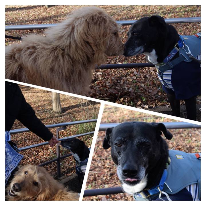 E213d7bd 490c 421f 9a53 2e672deebf66 1742431458499