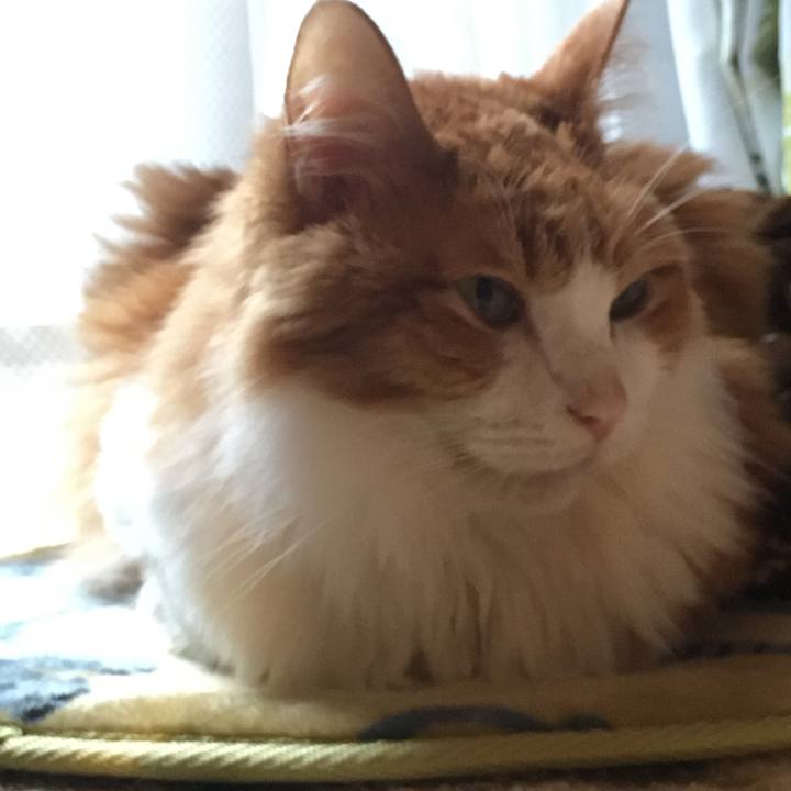 E213e4f9 6355 4385 8f25 341812fa7975 1574041904403