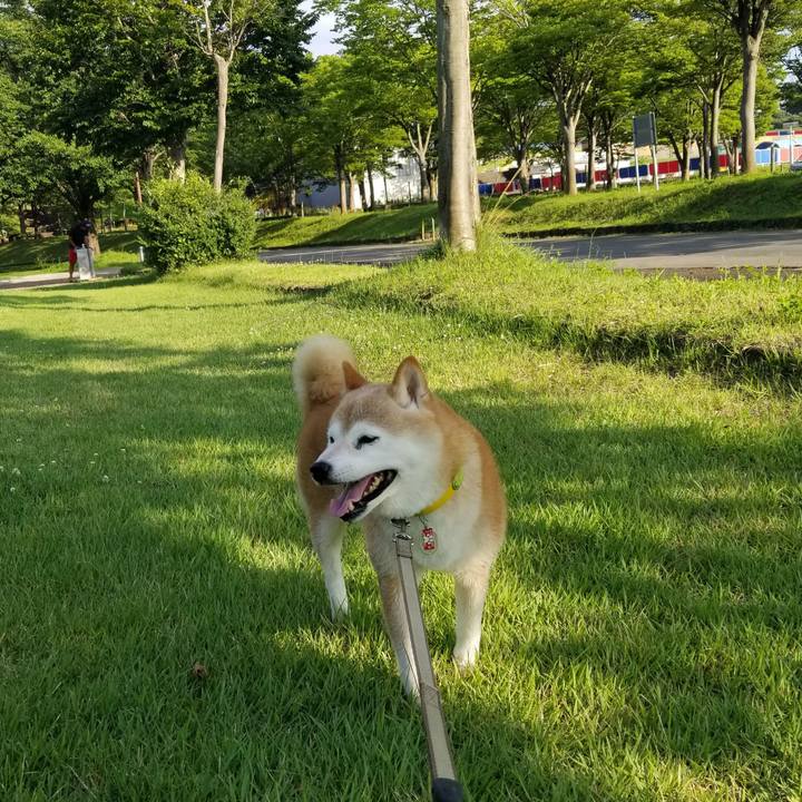 E213e71a 1737 4e72 95b3 6db0e5a95fc3 1689580821467