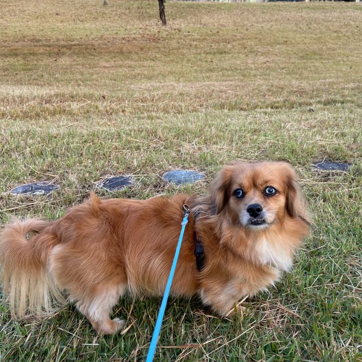 E2140f4d 6a31 4559 b247 655d81971f8a 1604010603048