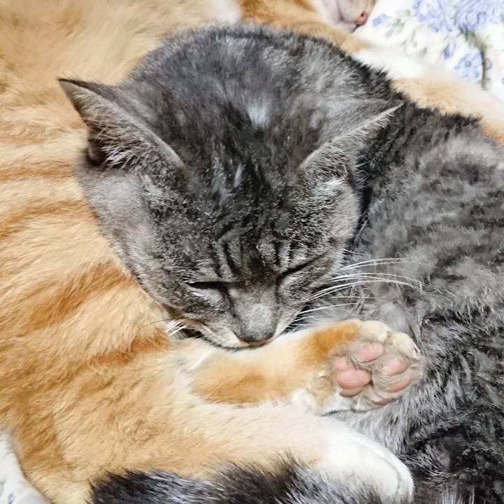 E2142aa1 3da4 4f50 b247 f92a8ee9bcdc 1582381392380