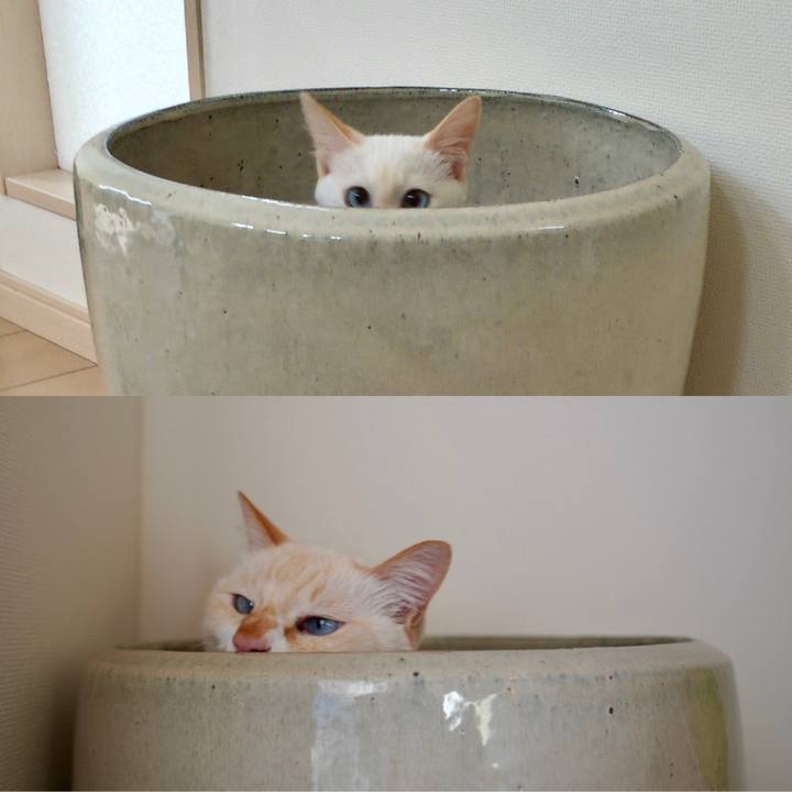 E214301f 2eea 4063 8e83 024e4635b289 1763192154876