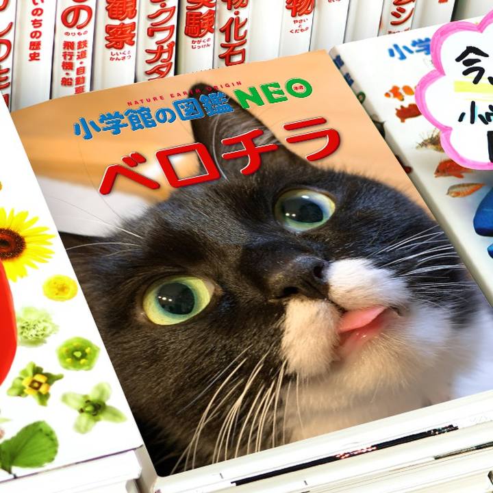 E2145b28 d08d 4c87 9ecf 10ca5e28d8f8 1578282671537