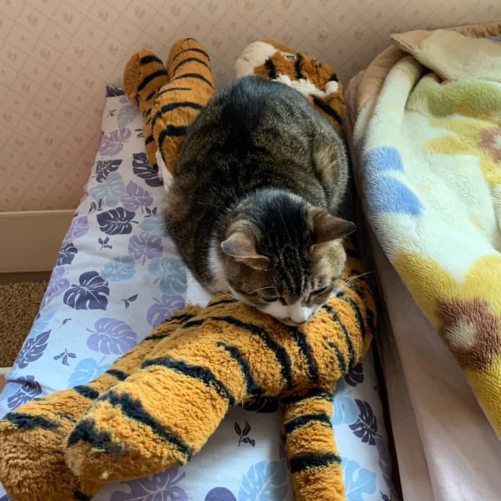 E2145cb4 49e2 4543 b7b3 2e5ee0f3ade6 1618719498117