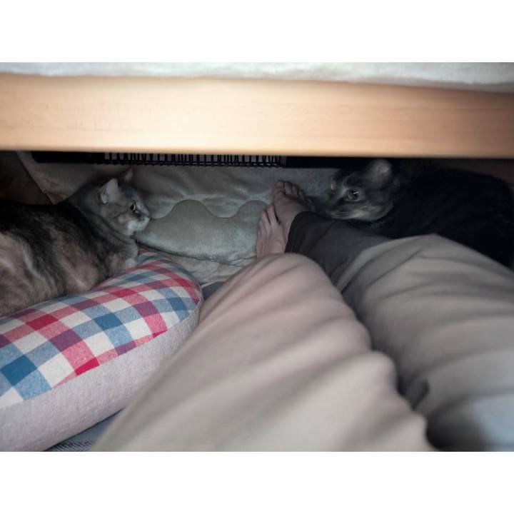 E2146aa2 0a86 4e63 86a7 ef8514262502 1772870699524