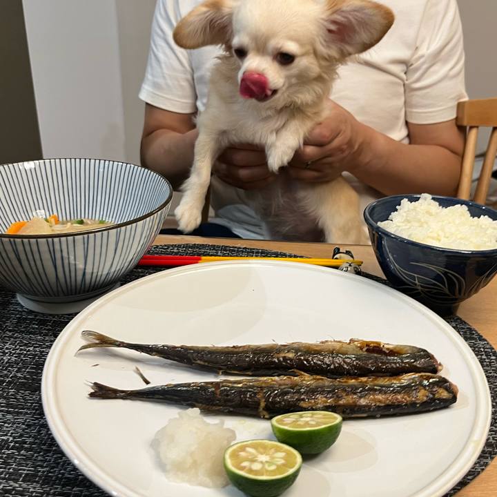 E21478a0 7842 4fe9 944b 15514521c91e 1727528636530