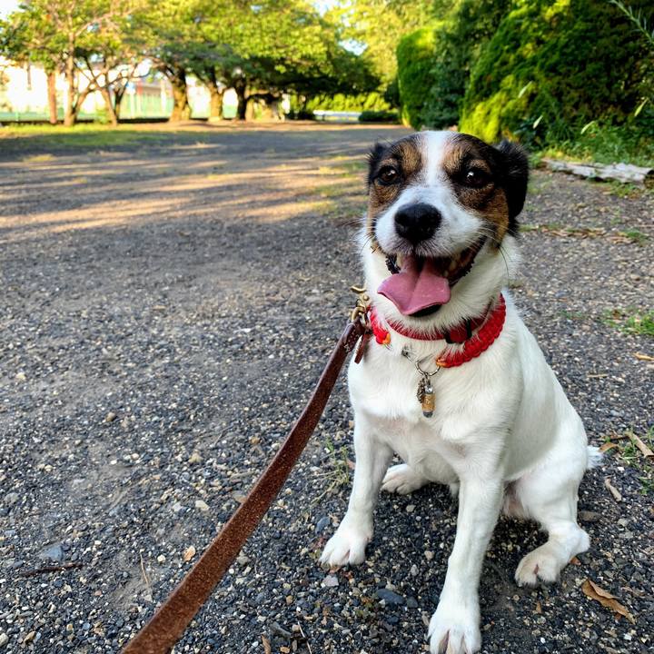 E2148ddd a8fa 4846 a3c8 2ab7e13b4eba 1565130175012