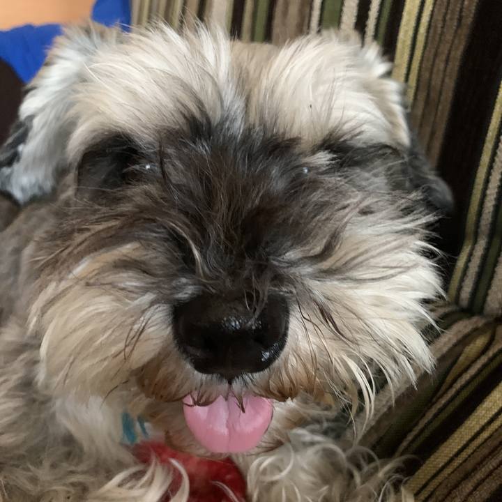 E2149441 6197 4981 9840 9691bb9871d3 1589163703070