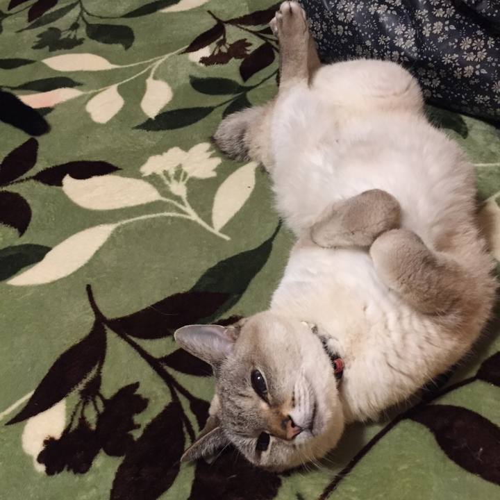 E214d5b7 168f 4870 975f 0f3eaa3673ab 1581717364370