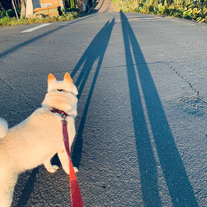 E214ead6 120e 4e23 9dc7 1256dafe661f 1598131714254