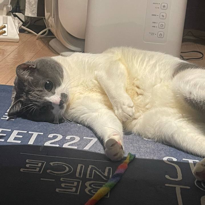 E214f735 e89f 41d6 a84e e65699928821 1712070227307