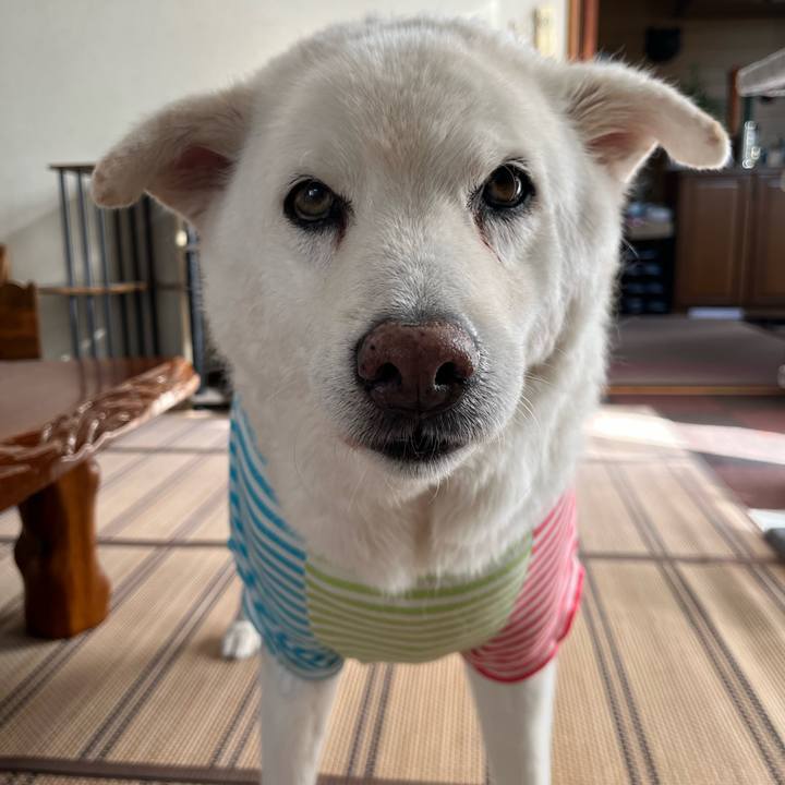 E21505da be4e 4cf8 966e 4531b3bb1635 1760485681682