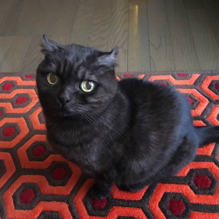 E2151479 8c9e 4053 b487 d3a9826fb301 1546732550672