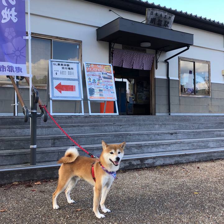 E2151866 e021 42e7 a8a4 5c22a5da0b8f 1540709050078