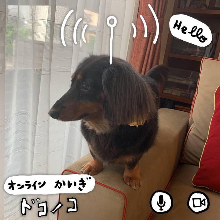 E2151e9f 8f4f 4fff a3cc 15aab236f7e0 1592034717503