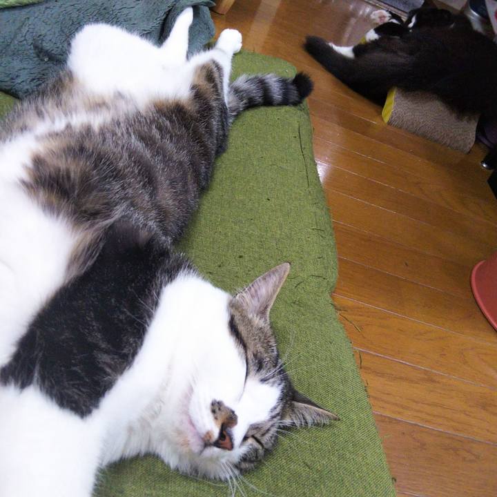 E21526d8 e03d 405c 8753 aa4177dec879 1649589796544