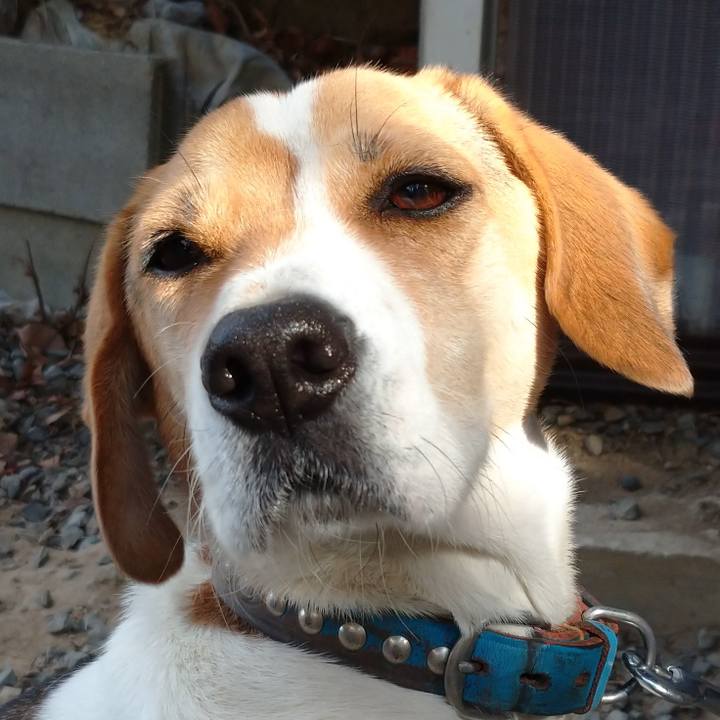 E2153855 5221 4673 9023 8b83075c5a86 1610892745709