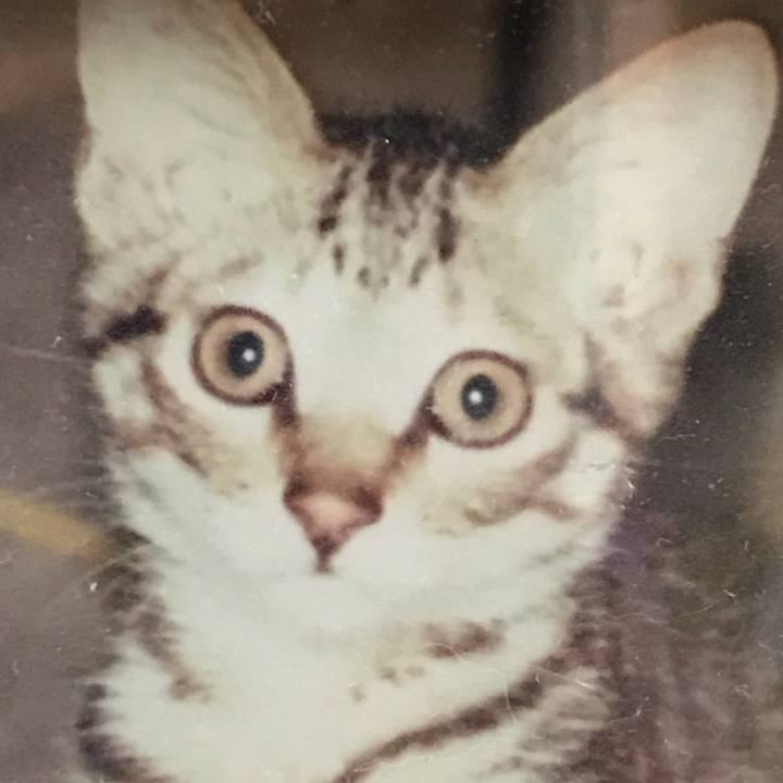 E2156a23 b553 40ff a61d d013c1f559d7 1535178935576