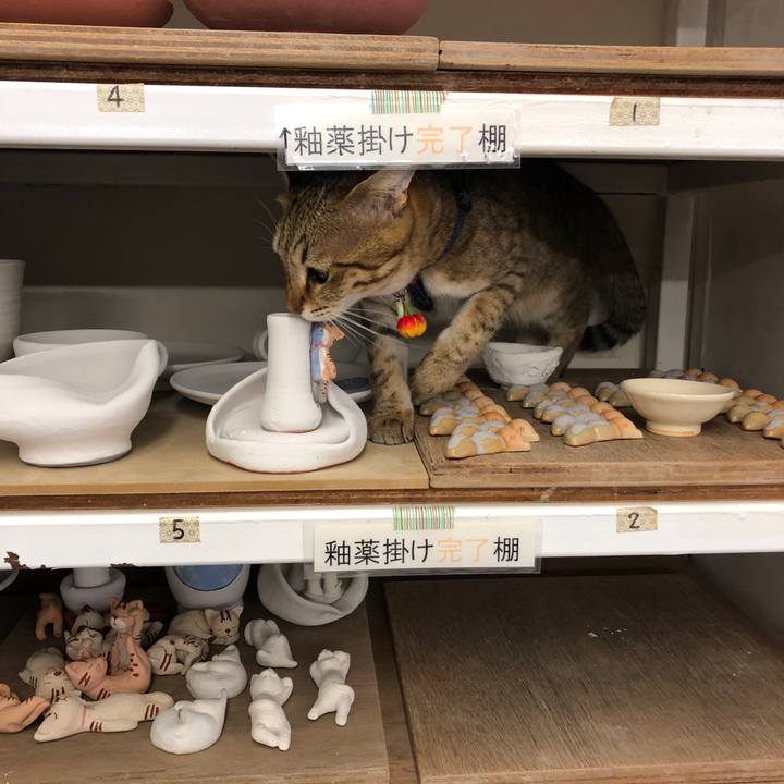 E215bdb5 506e 492e a049 91f44d30ba01 1589541031046