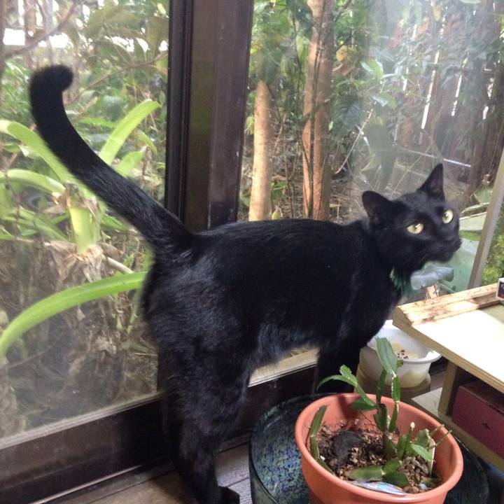 E215cde9 c2fb 4609 acba 26fac40fe309 1510217477068