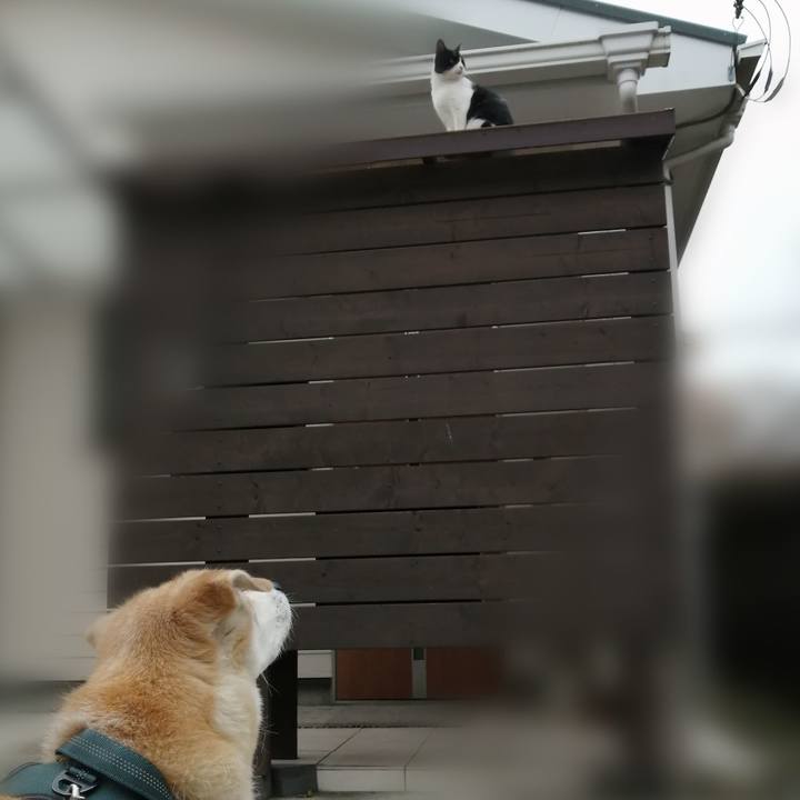 E2160b53 4023 4c9a a712 d2df333a7f6e 1634892774989