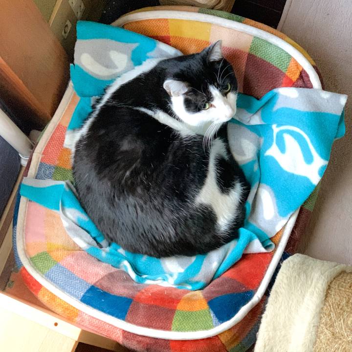 E21611e4 d372 4d8a 859c dfb9059f6fca 1578795971235