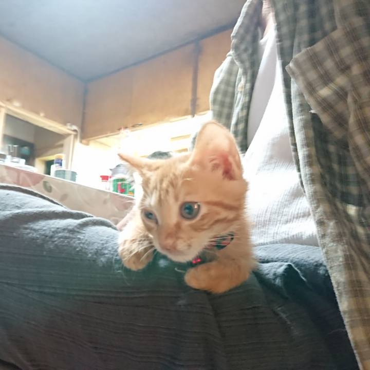 E2161bd5 576f 4f8f 9110 4328daaa7b86 1630188563461