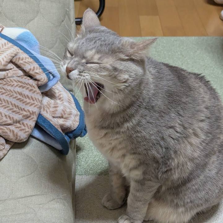 E216a15d 62c7 4bdb ab7f b21da59d4961 1735433415050