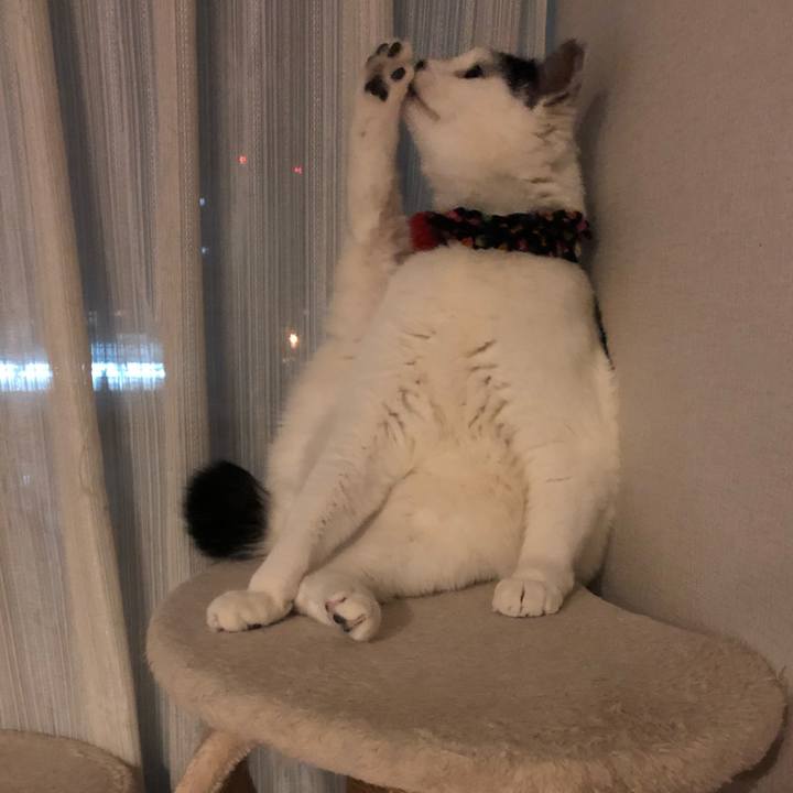 E216ab3c 01bb 4e40 baf9 e36c1d03a660 1550150107795