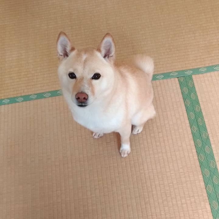 E216b401 ffe7 49de 9615 261d4bab0728 1612056208934