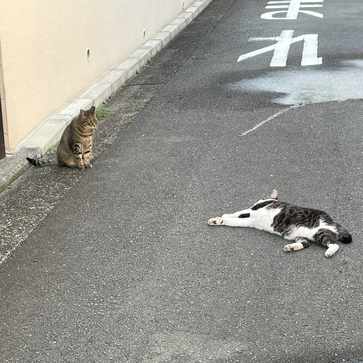 E216b6c1 5ce2 4d95 a165 80efb35eccb1 1629868875052