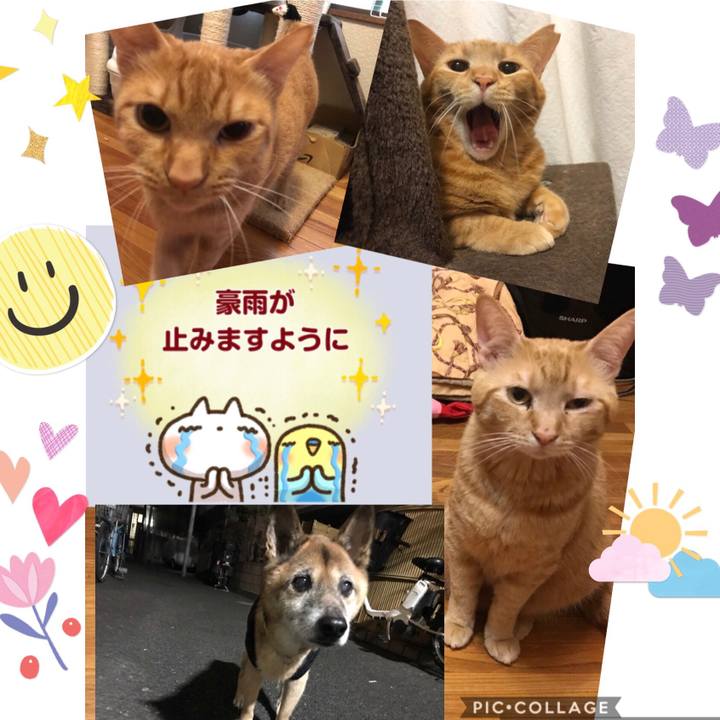 E216d598 a51c 4f15 a6a0 ae1127b2954c 1594165823973