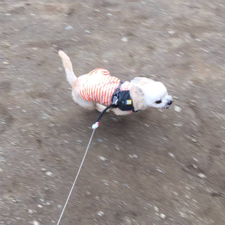 E217016d f223 4d5f 8042 4a04bbf63178 1563680845364