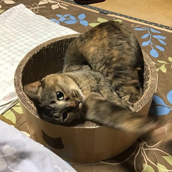 E2171366 a2cb 47e7 97c6 d73698c3db26 1733133262153