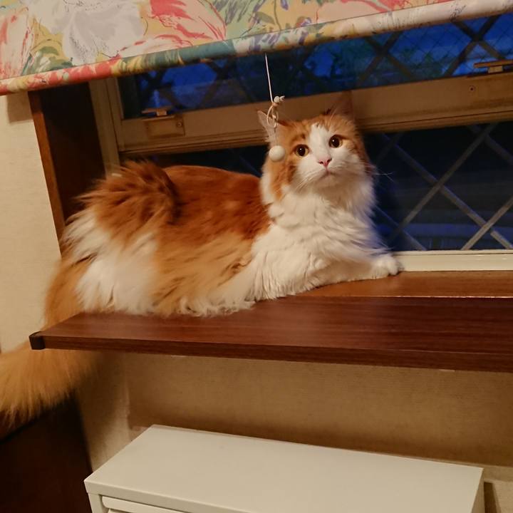 E21714ab 6250 441c ba36 d4f072cbac06 1530699557251