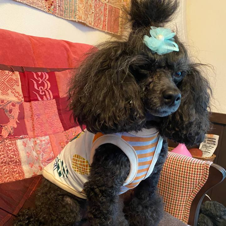 E2172ade 3e4c 42ac 8c2c 682cf8e439d5 1654756165767