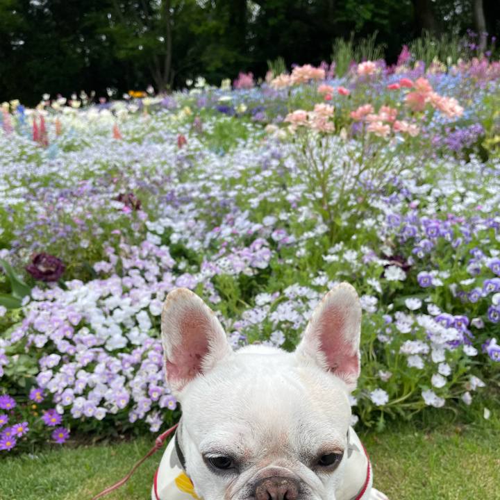 E2174c3e 1c93 4822 9aa6 a473e9457e72 1745551314698