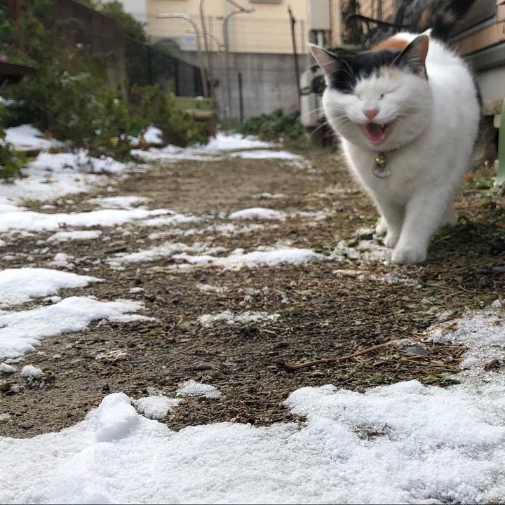 E217af7d ac97 49be 9315 2211202b81b8 1736571477950