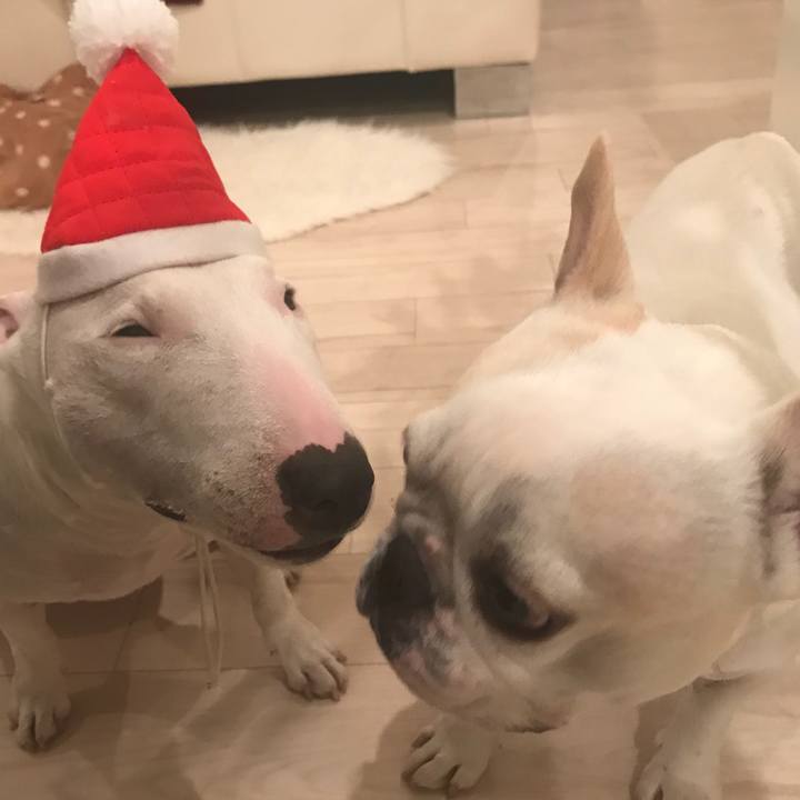 E217eeef 9643 47fc 91d2 f62d19d4b2c4 1514120839059