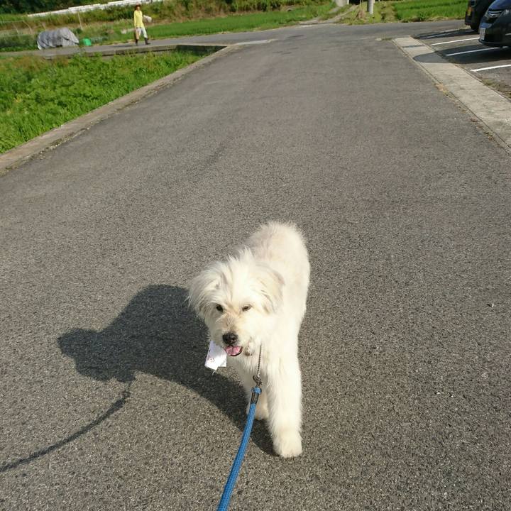 E217f75a eeea 4700 85cb 87f92c749bd2 1562747648513