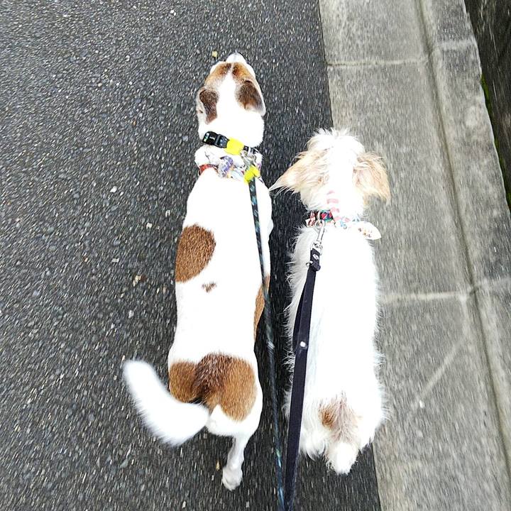 E21819db d5ff 4cdc 8a6c 54f303fde14f 1568593522948