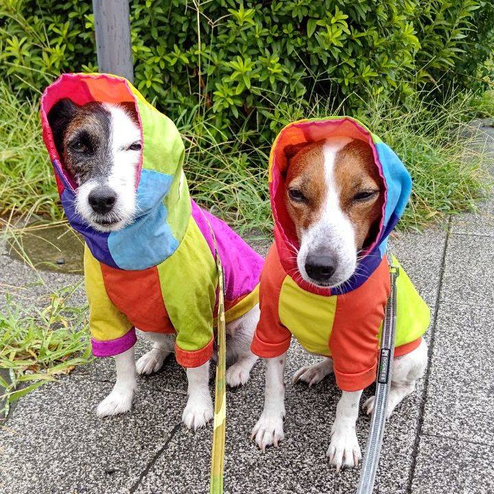 E21826ab 7046 427d 9150 2fbd6316085b 1660776276857